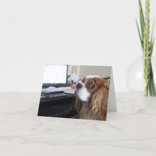 Spaniel för kung Charles för fredag stolt på Kort