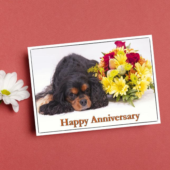 Spaniel för kung Charles för lycklig årsdag stolt Kort (Skapare uppladdad)