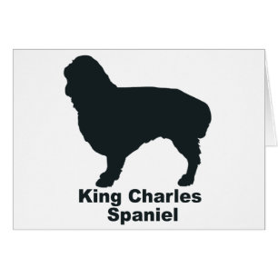 Spaniel för kung Charles Hälsningskort