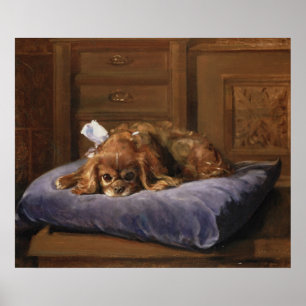 Spaniel för kung Charles Poster