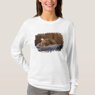 Spaniel för kung Charles T-shirt