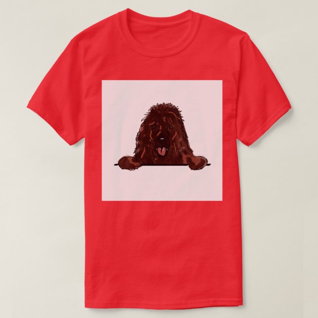 Spaniel från Irländska vatten T Shirt (Design framsida)
