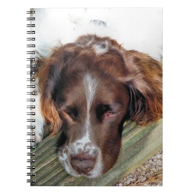 SPANIEL HUND ANTECKNINGSBOK MED SPIRAL (Framsidan)