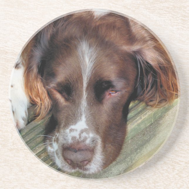SPANIEL HUND UNDERLÄGG (Framsidan)