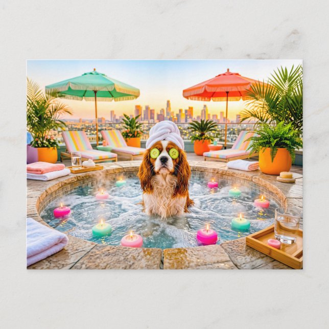 Spaniel i wellnesspool vykort (Framsida)