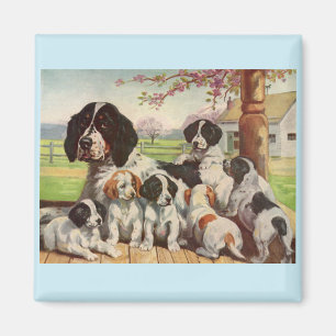 Spaniel mamma och valpar magnet