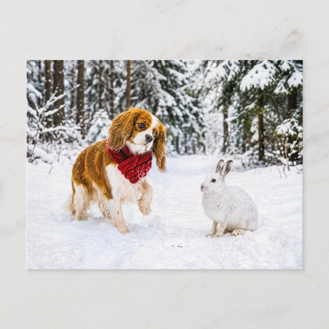 Spaniel möter snöhare i vinter skog vykort (Framsida)
