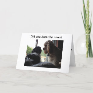 SPANIEL OCH HAVANESE SÄGA GRATTIS PÅ FÖDELSEDAGEN  KORT