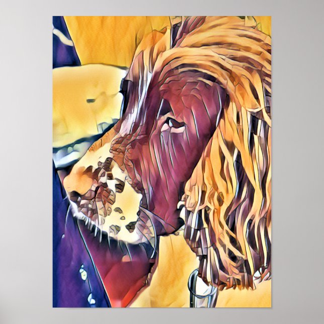 SPANIEL Poster (Framsidan)