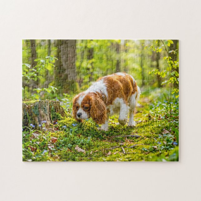Spaniel som går genom en ljus vårskog pussel (Horisontell)