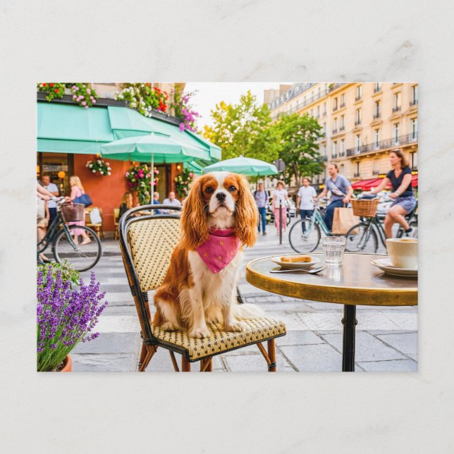 Spaniel stadsutflykt på utomhuscafé vykort (Framsida)