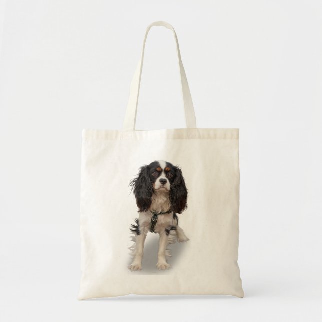 SPANIEL TYGKASSE (Framsidan)