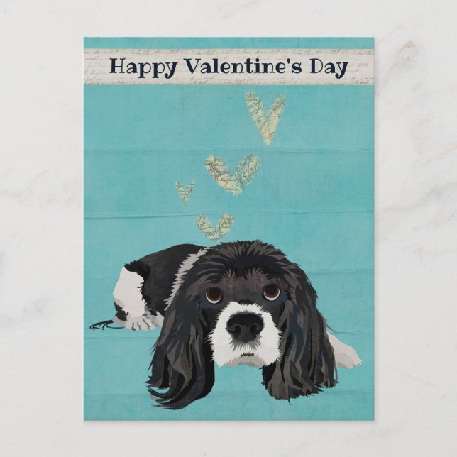SPANIEL VALENTINS vykort (Framsida)