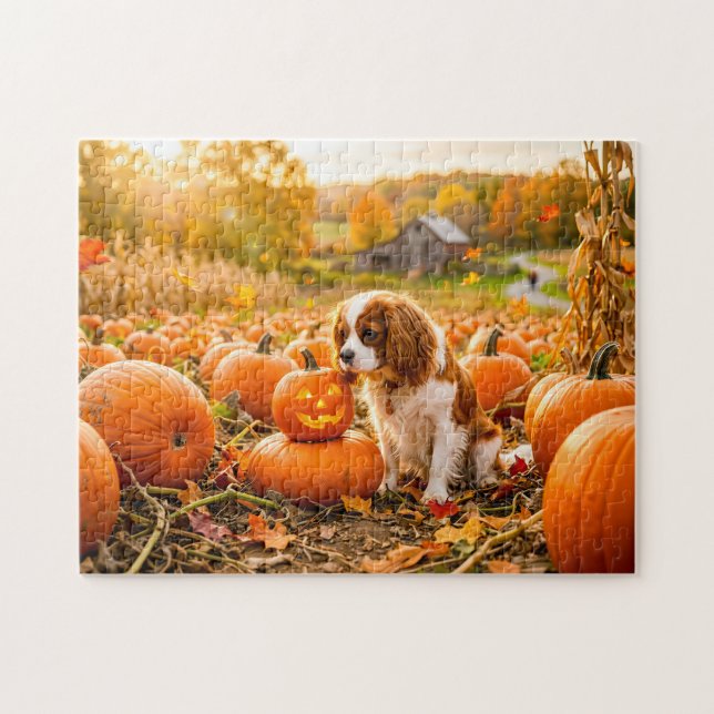 Spaniel-valp i höstens pumpafält pussel (Horisontell)