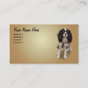 SPANIEL VISITKORT