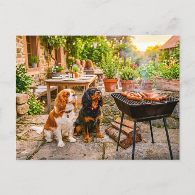 Spanielduo som tittar på uterum bbq-korvar vykort (Framsida)