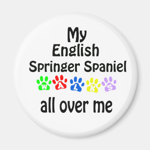 Spanielen för den engelska springeren går design magnet