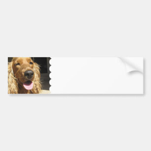 Spanielhundbildekal Bildekal
