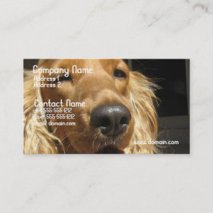 Spanielhundvisitkort Visitkort