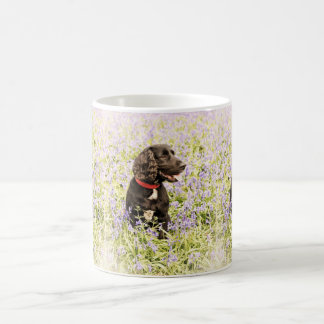 Spanielmugg Kaffemugg