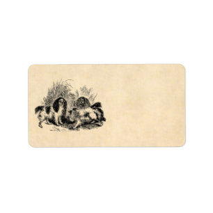 Spaniels för 1800s för hund för Spaniel för Adressetikett
