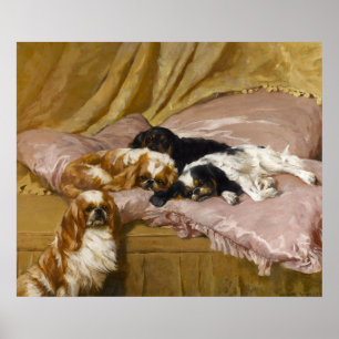 Spaniels för kung Charles av Arthur Wardle Poster