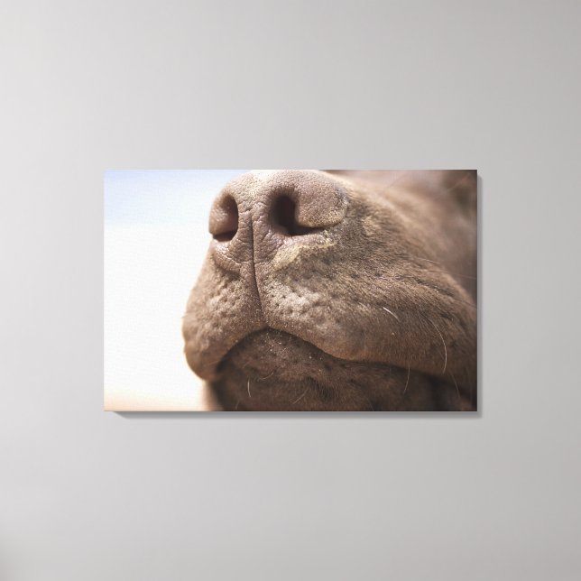 Spanien, Costa Blanca, chokladens närhet Canvastryck (Framsida)