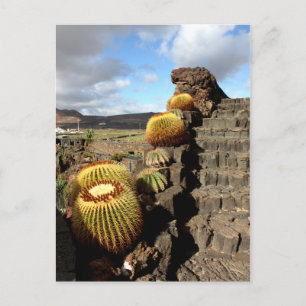 Spanien Lanzarote 04 cactus-trädgård Vykort