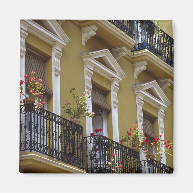 Spanien, Sevilla, Andalusien Pelargoner hänger öve Magnet (Framsidan)