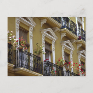 Spanien, Sevilla, Andalusien Pelargoner hänger öve Vykort