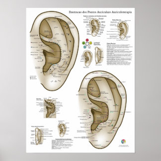 Spanish Ear Acupuncture Chart Poster