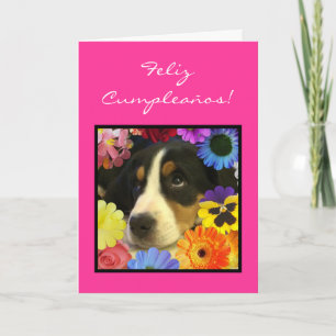 Spanjor: Cumpleanos de nina - perrito Kort