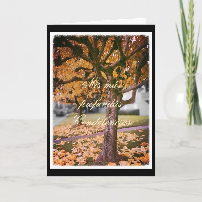 Spanjor: sympatikort kort (Framsida)