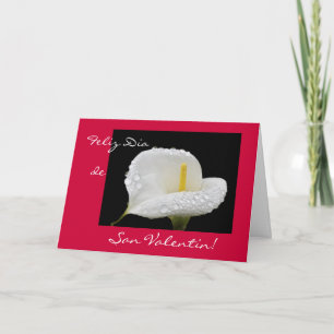Spanjor: Valentin dag/Diameter de San Valentin Helgkort