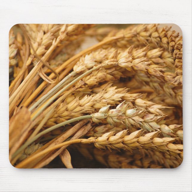 Spannmål - Grain Musmatta (Framsidan)