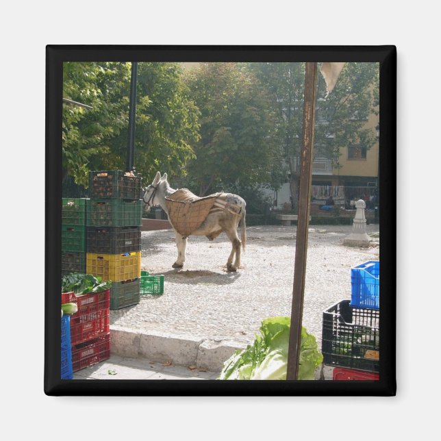 Spansk donkey på Baza market - magnet (Framsidan)
