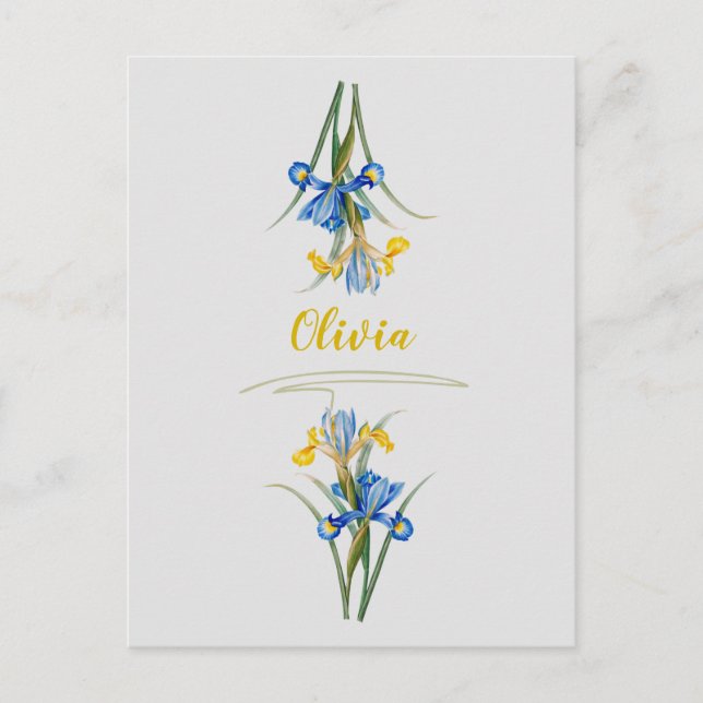 Spansk iris av Pierre-Joseph Redouté Vykort (Framsida)