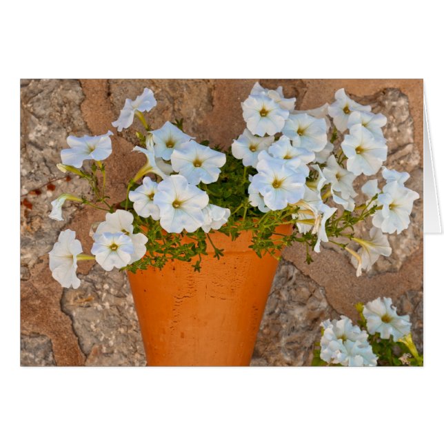 Spansk mur hälsningskort (Framsidan Horizontal)