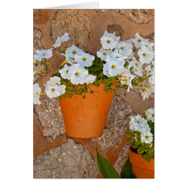 Spansk mur hälsningskort (Framsidan)