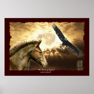 Spansk Mustang Horse & Örn Art Print Poster