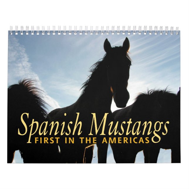 Spansk Mustangkalender Kalender (Omslag)