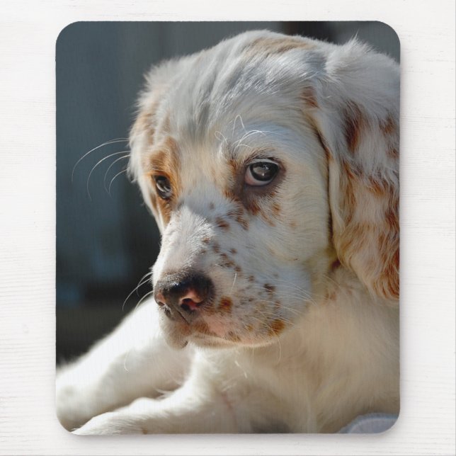 Spansk Puppy Hund Musmatta (Framsidan)
