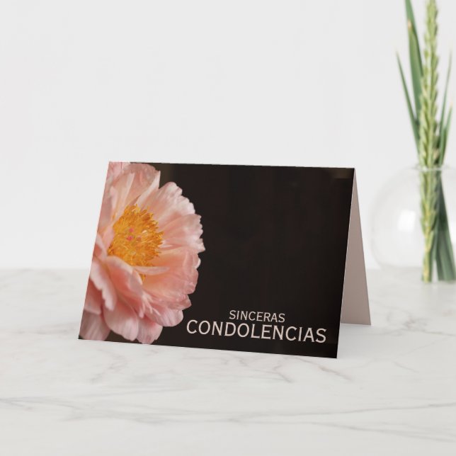 Spansk sympati Rosa Peony Kort (Framsida)