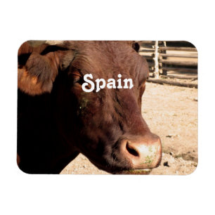 Spansk tjur magnet