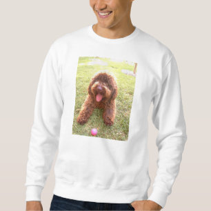 spansk vattens hund w toy.png lång ärmad tröja