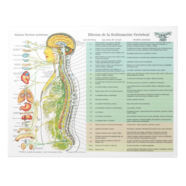 Spanska ANS-subluxeringseffekter Tear-off-knappar Anteckningsblock (Framsida)