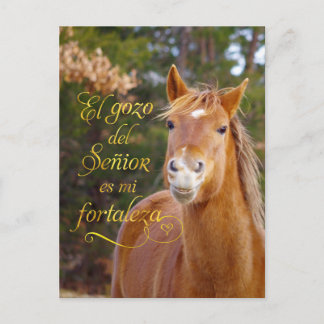 Spanska bible Verse ler Smiling Horse Postcards Vykort
