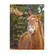 Spanska bible Verse ler Smiling Horse Postcards