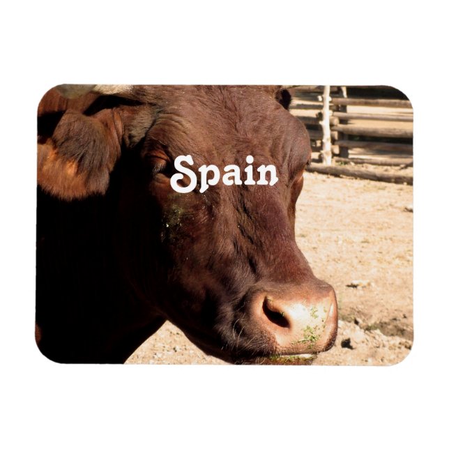 Spanska Bull Magnet (Horisontell)