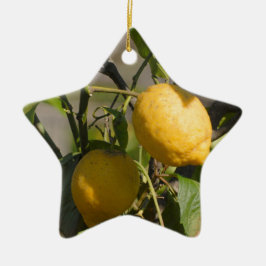 Spanska Citron Grafik Julgransprydnad Keramik